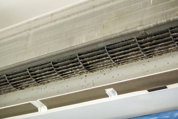 Best Affordable Duct Cleaning Services  in North Sioux City, SD